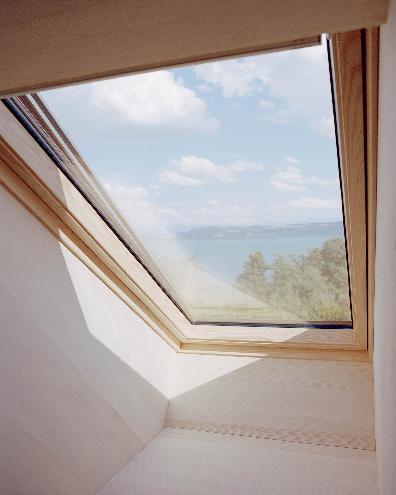 Window